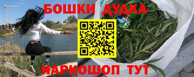 PSILOCYBIN Новокубанск