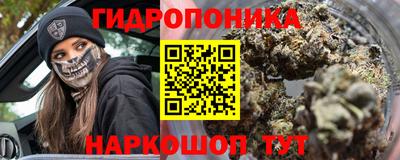apvp Новозыбков