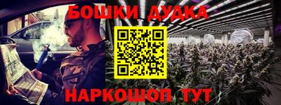 spice Новодвинск