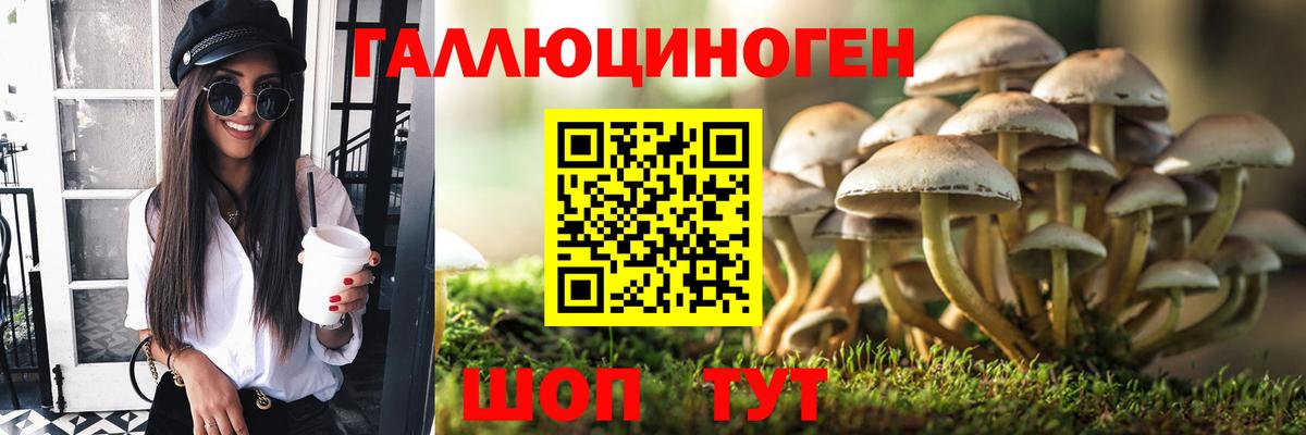 цена   Вход с VPN  Тула  Псилоцибиновые грибы мицелий  Псилоцибиновые грибы MAGIC MUSHROOMS 